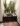 WhatsApp Image 2021-03-01 at 2.04.22 PM (5)